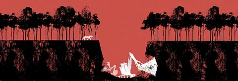 Illustration: Tarique Aziz Illustration: Tarique Aziz