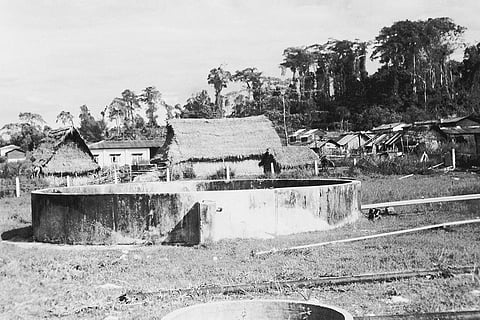 शोंपेन और जारवा आदिवासी बांस को चीरकर उनसे जल संग्रह में मदद लेते थे। पूरे बांस को बीच से फाड़कर जमीनी ढलान पर ठीक से जमा दिया जाता है, जिससे वर्षा का पानी छिछले कुओं (जैकवेल) में जमा हो जाता है  (फोटो: सौमित्र मुखर्जी / सीएसई)