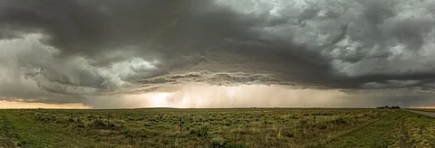 Extreme climate can halve crop yields: Study