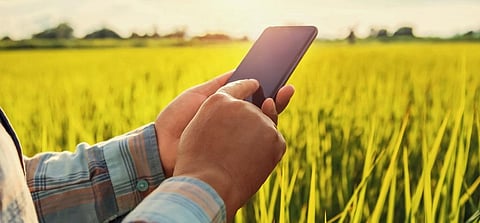 Smartphones that can reshape rural, agricultural areas. Photo: Getty Images