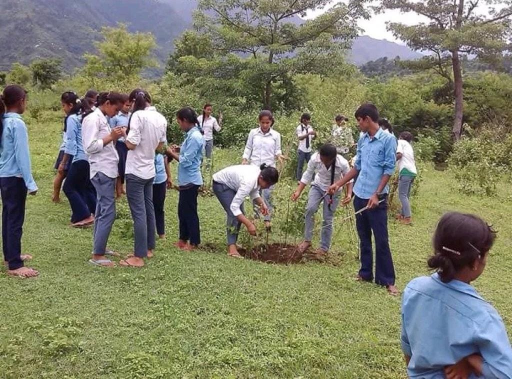Plantation drive in Himalayas