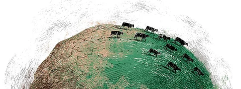 Illustration: Tarique Aziz