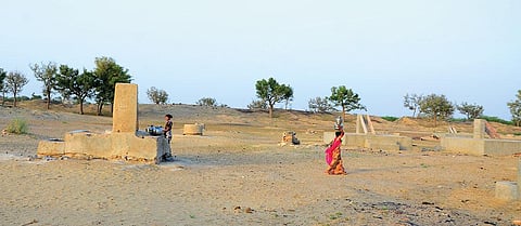 राजस्थान के बाड़मेर जिले में स्थित रामसर के पार में खत्म हो चुकी 220  बेरियों में से 117 को चिन्हित किया गया है। इनमें 14  का जीर्णोंद्धार हो चुका है, 18 पर काम चल रहा है  (विरेंद्र बालाच)