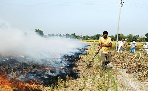 आदित्यन पीसी/सीएसई