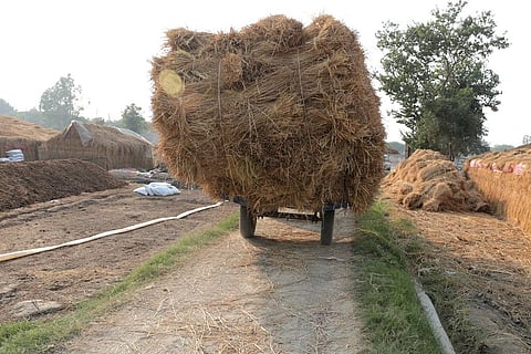 Photo: Vikas Choudhary 