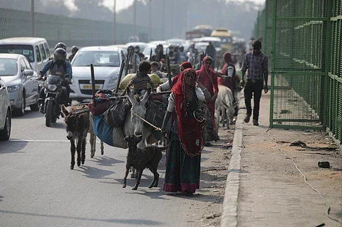 How many Indians are pastoralists? No official data, but report says 13 mln
