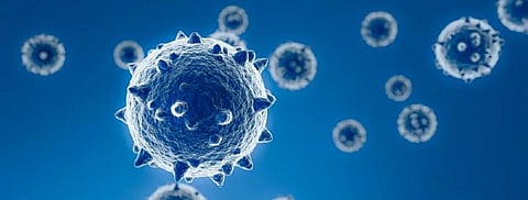 COVID-19: Water a crucial weapon in pandemic fight 