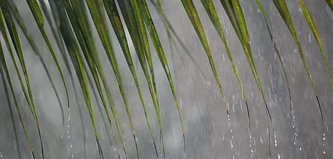 Expect a wet September, late monsoon withdrawal due to La Niña