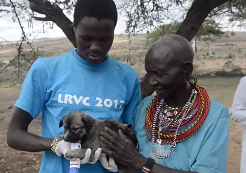 Lessons from a community-driven rabies vaccination campaign in Kenya