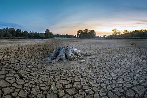 जलवायु परिवर्तन और सूखे से मंडरा रहा है दुनियाभर के वेटलैंड्स पर खतरा