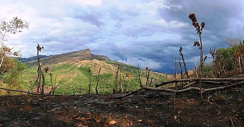 It is time to own up: Why ‘Anthropocene’ should matter 