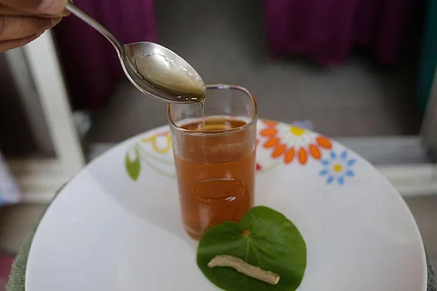 Giloy tea. Photo: Wikimedia Commons