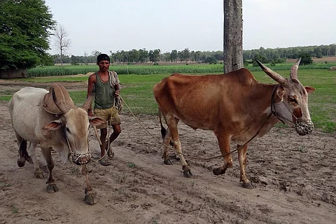 जलवायु परिवर्तन के चलते दुनिया के एक तिहाई खाद्य उत्पादन पर मंडरा रहा है संकट