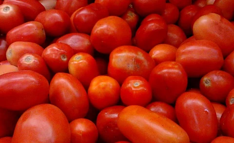 Roma or Bangalore tomatoes, an Indian hybrid variety. Photo: Wikimedia