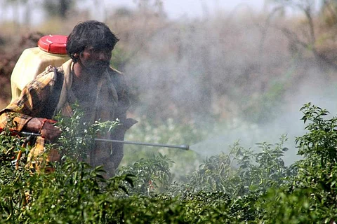 हर साल नौ लाख लोगों की मौत का कारण बन रहे हैं पेंट, कीटनाशक और कोयला