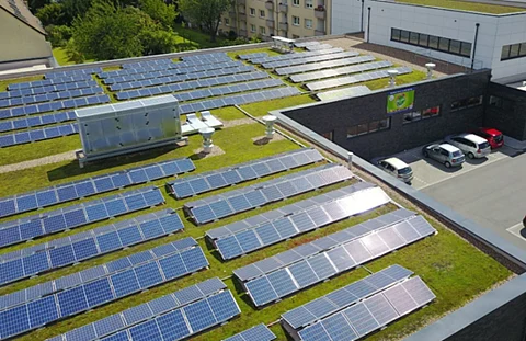 Planning to install rooftop solar panels? How about some grass beneath it