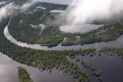 Human activity is slowly killing the world’s rivers, study illustrates