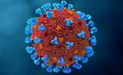 COVID-19: How worried should we be about the new AY.4.2 lineage of the coronavirus?