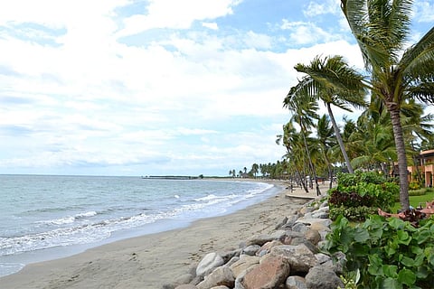 फोटो : विकिमीडिया कॉमन्स 