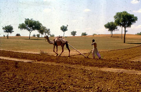 कैसा रहा राजस्थान का पहला कृषि बजट और क्यों नहीं हैं किसान संगठन खुश?