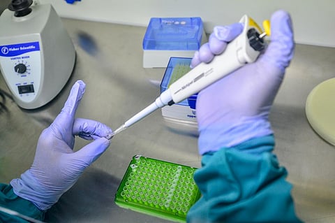 The coronavirus in Nigeria has its own family history: keeping track is vital