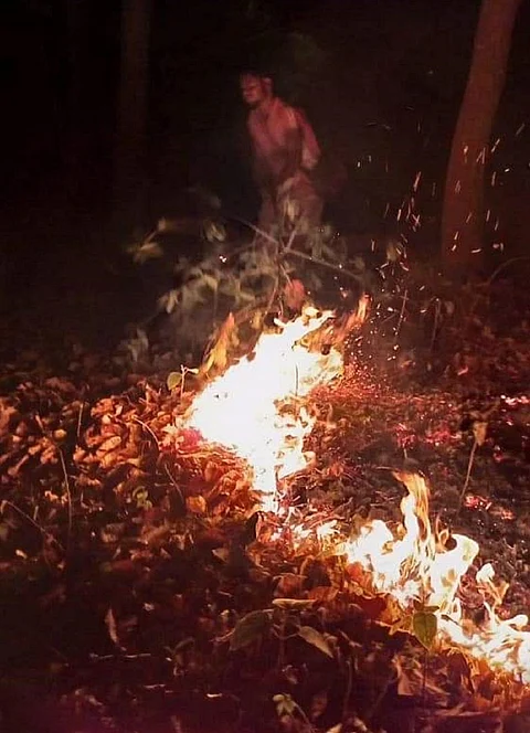 Carelessness, lack of prompt action behind regular forest fires in Purulia
