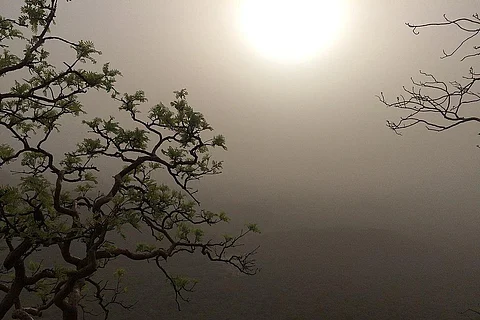 धूल भरी आंधी के साथ इन इलाकों में गर्मी का कहर जारी, पूर्वोत्तर में भारी वर्षा व ओलावृष्टि के आसार