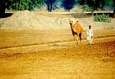 Monsoon 2022: Agriculture sector shed nearly 8 million jobs in June