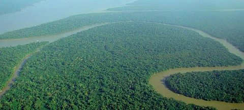 Global Forest Resource Assessment: Tropical forests the size of Europe lost in first 20 years of this century