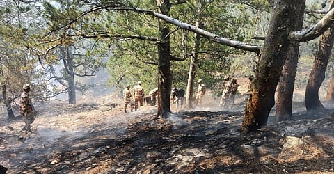 फोटो : हिमाचल प्रदेश के किन्नौर जिला में जंगी के चिलगोजा के जंगलों में लगी आग: रोहित पराशर
