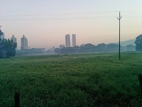 Revisiting 2019 Aarey forest study: Why Metro project is a threat to biodiversity park