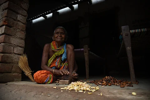 Local woman shelling Mahua seeds in Odisha's Kamtana village. Photo: Arabinda Mahapatra