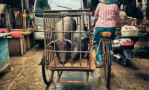 Photo: iStock
