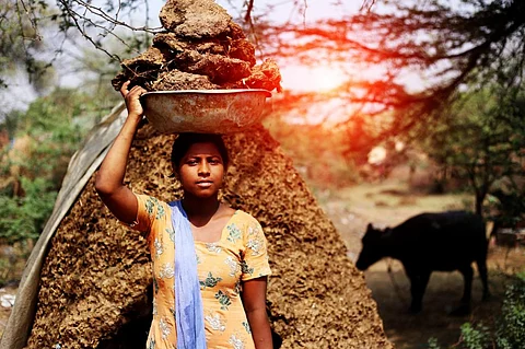 Organic fertiliser: A must for the next green revolution