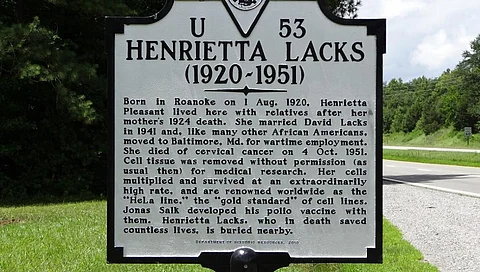 A historical marker on Henrietta Lacks in the US. Photo: Wikimedia Commons