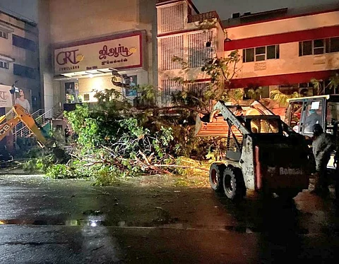 A fallen tree being cleared from Arcot Road in Chennai. Photo: @chennaicorp / Twitter 