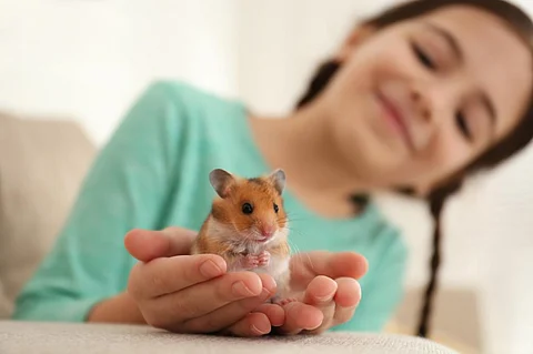 Photo: Shutterstock