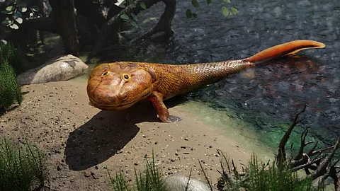 3D rendering of the tiktaalik, an extinct walking fish. Photo: Dotted Yeti / Shutterstock