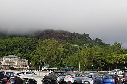 फोटो साभार : विकिमीडिया कॉमन्स, सेब्रिंग
