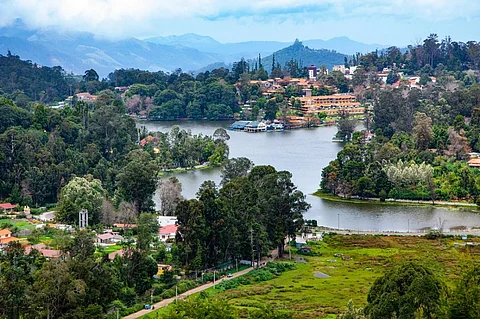 This classic shot of Kodai Lake, viewed from one of the slopes that surround it, is seen from the perspective of the wetland that adjoins it. The lake is the setting for for films such as Jo Jeeta Wohi Sikandar and Penguin, in Hindi and Tamil respectively. Photo: Sids/Shutterstock
