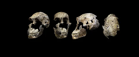 Photo: Wikimedia, CC BY-SA