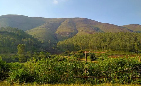 Koraput district in Odisha. iStock photo for representation