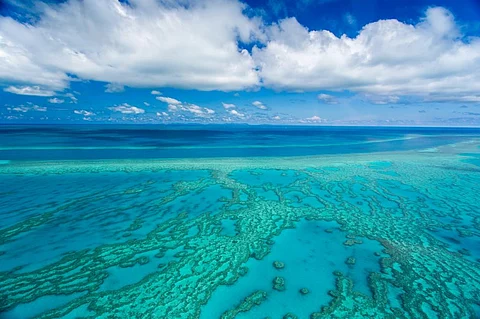 Out of danger because the UN said so? Hardly — the Barrier Reef is still in hot water