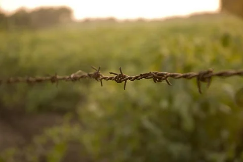 The amendments give exemption for clearances up to 100 kilometres from international borders for “strategic projects of national importance”. File photo: CSE