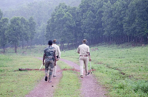 Forest Guards patrolling in Deosthali beat of Similipal Tiger Reserve, Odisha. Photo: Madhumay Mallik 
