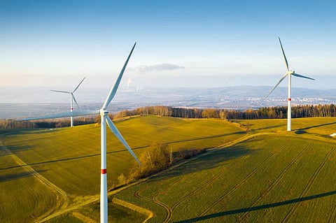 Photo: iStock