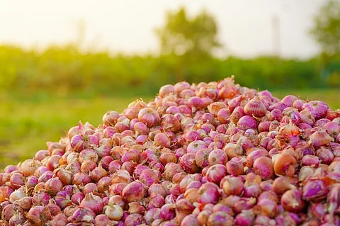 Photo: iStock