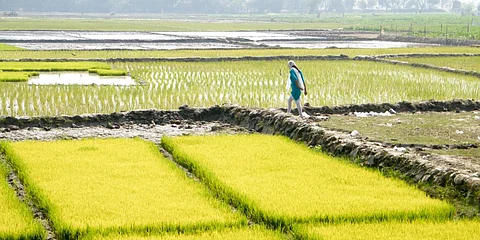 Photo: iStock