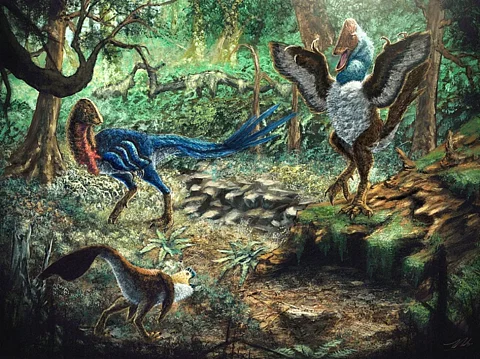 Eoneophron infernalis and the smaller unnamed species now join the larger Anzu as late-Cretaceous caenagnathid dinosaurs from the Hell Creek region.  Illustration: Zubin Erik Dutta / Atkins-Weltman et al., 2024 / PLOS One