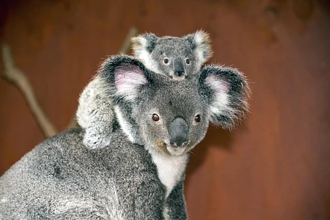Photo: iStock